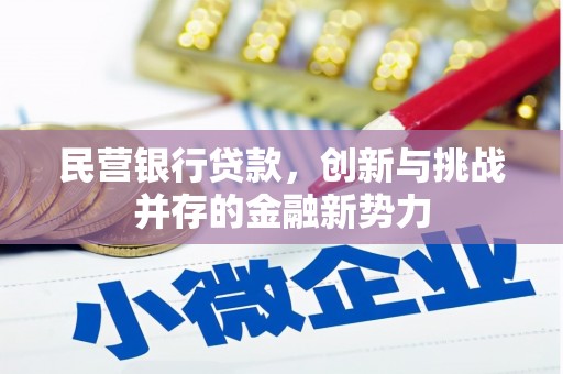 乡宁民营银行贷款，创新与挑战并存的金融新势力