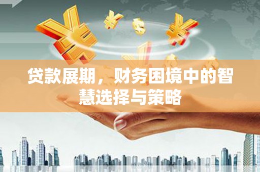 乡宁贷款展期，财务困境中的智慧选择与策略