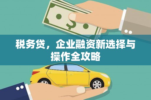 乡宁税务贷，企业融资新选择与操作全攻略