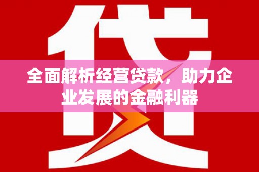 乡宁全面解析经营贷款，助力企业发展的金融利器
