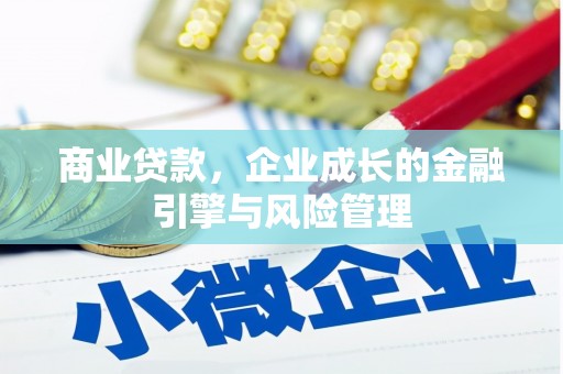 乡宁商业贷款，企业成长的金融引擎与风险管理
