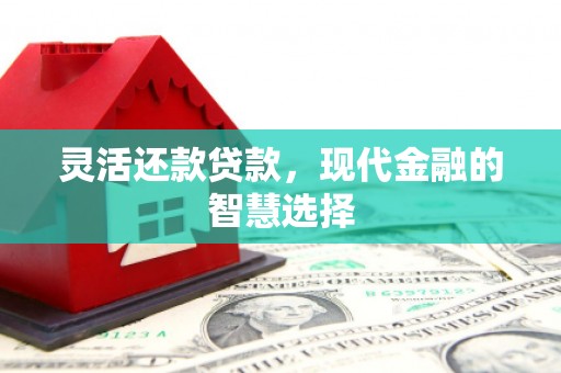 乡宁灵活还款贷款，现代金融的智慧选择