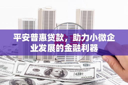 乡宁平安普惠贷款，助力小微企业发展的金融利器