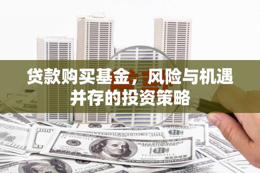 乡宁贷款购买基金，风险与机遇并存的投资策略