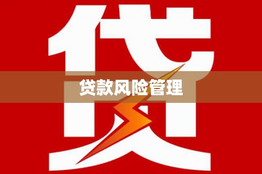 乡宁贷款风险管理
