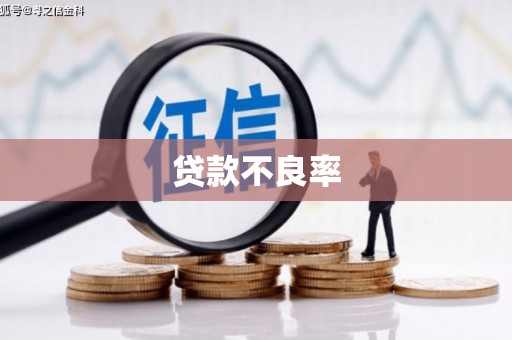 乡宁贷款不良率