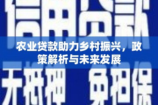 乡宁农业贷款助力乡村振兴，政策解析与未来发展