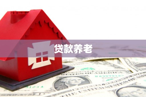 乡宁贷款养老