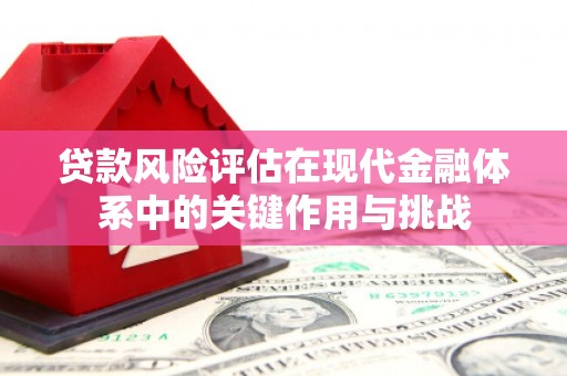 乡宁贷款风险评估在现代金融体系中的关键作用与挑战
