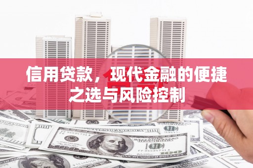 乡宁信用贷款，现代金融的便捷之选与风险控制