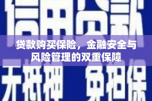 乡宁贷款购买保险，金融安全与风险管理的双重保障