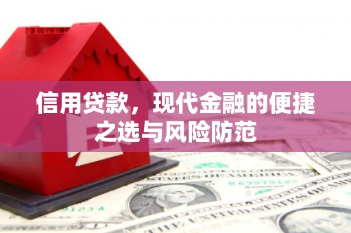 乡宁信用贷款，现代金融的便捷之选与风险防范