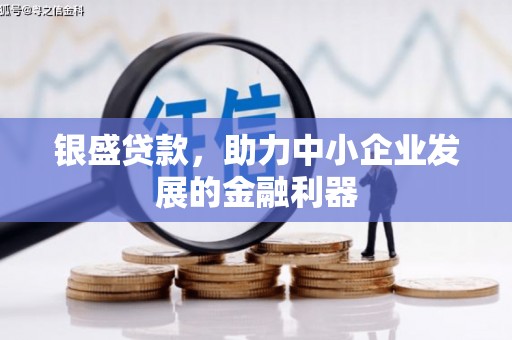 乡宁银盛贷款，助力中小企业发展的金融利器