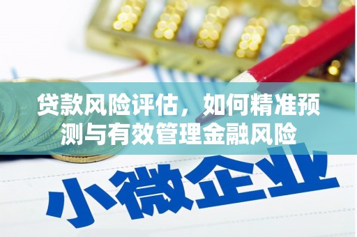 乡宁贷款风险评估，如何精准预测与有效管理金融风险