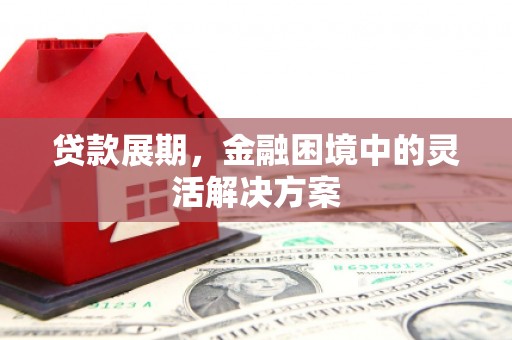 乡宁贷款展期，金融困境中的灵活解决方案