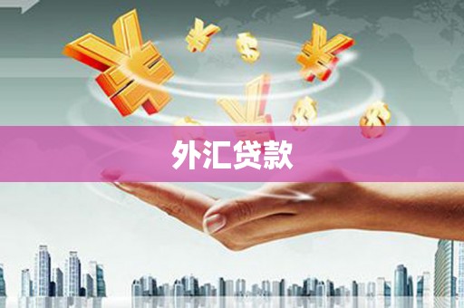 乡宁外汇贷款