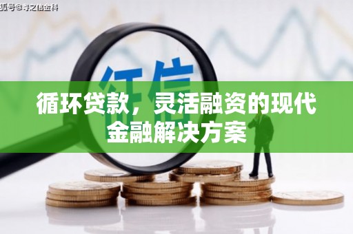乡宁循环贷款，灵活融资的现代金融解决方案