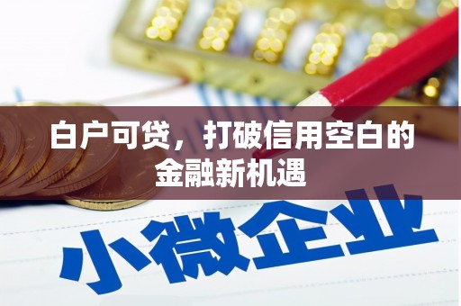 乡宁白户可贷，打破信用空白的金融新机遇