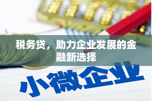 乡宁税务贷，助力企业发展的金融新选择