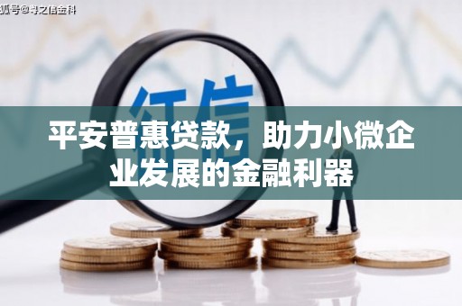 乡宁平安普惠贷款，助力小微企业发展的金融利器