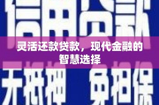 乡宁灵活还款贷款，现代金融的智慧选择
