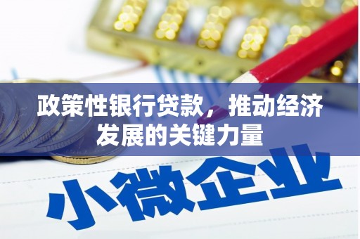 乡宁政策性银行贷款，推动经济发展的关键力量