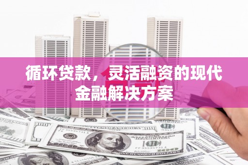 乡宁循环贷款，灵活融资的现代金融解决方案