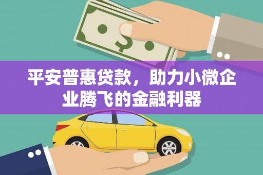 乡宁平安普惠贷款，助力小微企业腾飞的金融利器