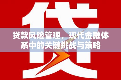 乡宁贷款风险管理，现代金融体系中的关键挑战与策略