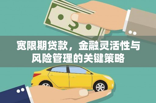 乡宁宽限期贷款，金融灵活性与风险管理的关键策略