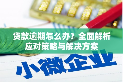 乡宁贷款逾期怎么办？全面解析应对策略与解决方案