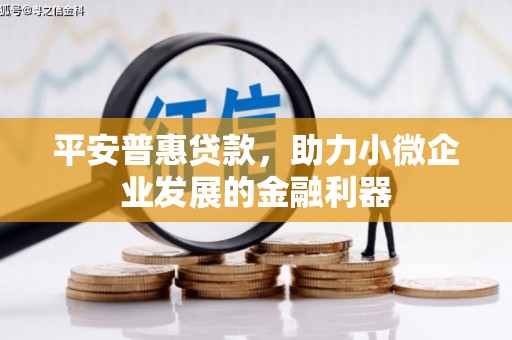 乡宁平安普惠贷款，助力小微企业发展的金融利器