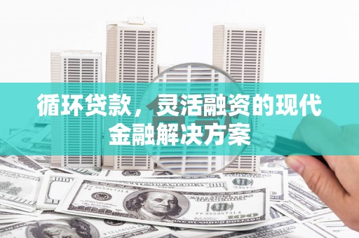 乡宁循环贷款，灵活融资的现代金融解决方案