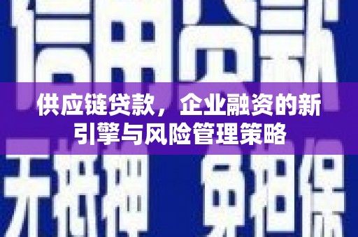乡宁供应链贷款，企业融资的新引擎与风险管理策略
