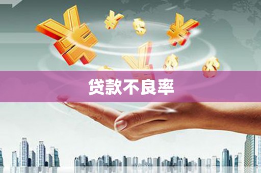 乡宁贷款不良率