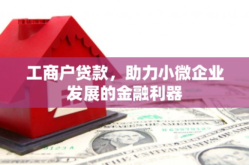 乡宁工商户贷款，助力小微企业发展的金融利器