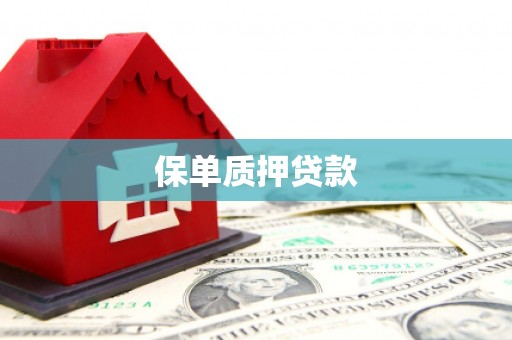 乡宁保单质押贷款
