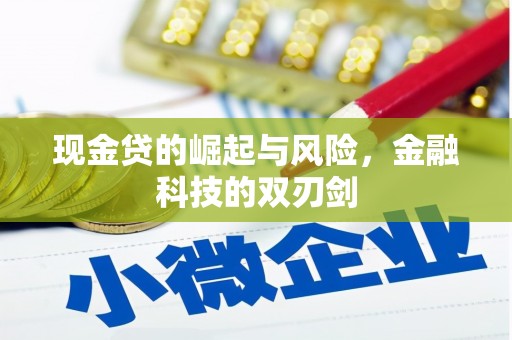 乡宁现金贷的崛起与风险，金融科技的双刃剑