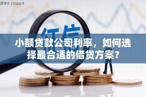 乡宁小额贷款公司利率，如何选择最合适的借贷方案？