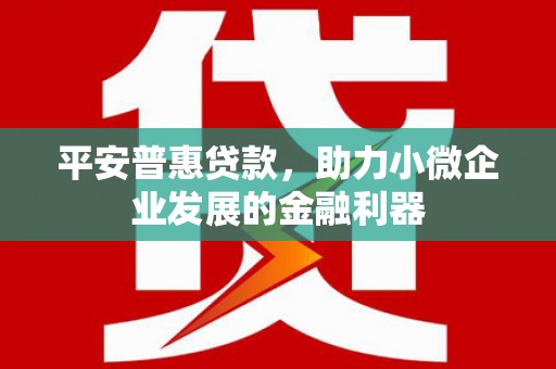 乡宁平安普惠贷款，助力小微企业发展的金融利器