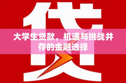 乡宁大学生贷款，机遇与挑战并存的金融选择
