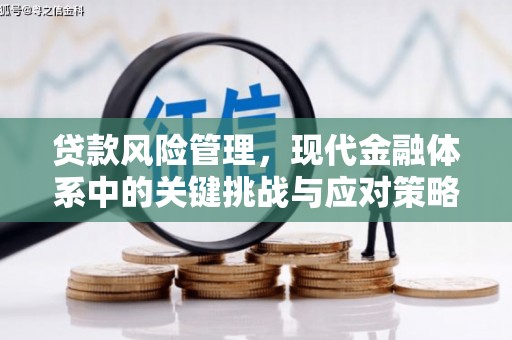 乡宁贷款风险管理，现代金融体系中的关键挑战与应对策略