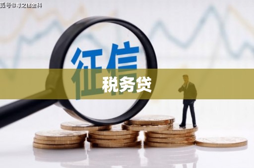 乡宁税务贷