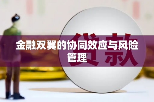 乡宁金融双翼的协同效应与风险管理